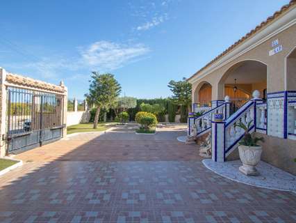 Finca en venta en Albatera zona Albatera