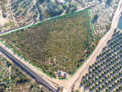 Parcela rústica en venta en Crevillent