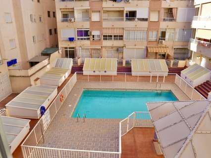 Apartamento en alquiler en Torrevieja zona Playa de Los Locos