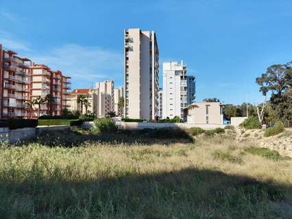 Parcela rústica en venta en Guardamar del Segura zona Guardamar Pueblo