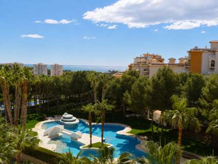 Apartamento en venta en Orihuela zona Orihuela-Costa