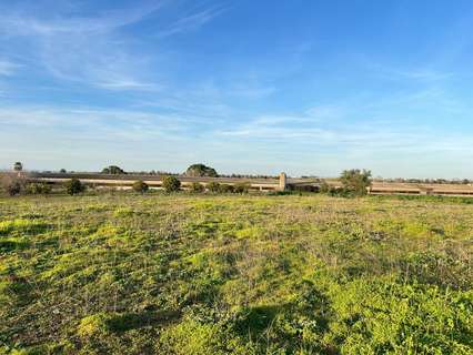 Nave industrial en venta en Benacazón