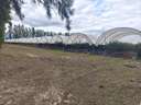 Parcela rústica en venta en Almonte