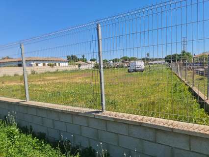 Parcela rústica en venta en Chiclana de la Frontera