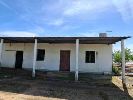 Parcela rústica en venta en Utrera