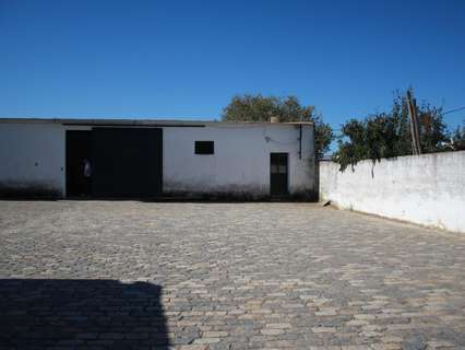 Parcela urbana en venta en Carrión de los Céspedes