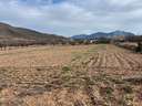 Parcela en venta en Orihuela