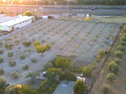 Parcela rústica en venta en Granada