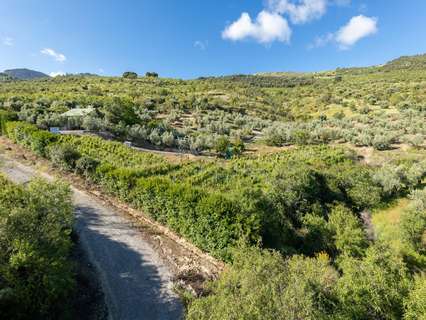 Parcela rústica en venta en Pinos Genil