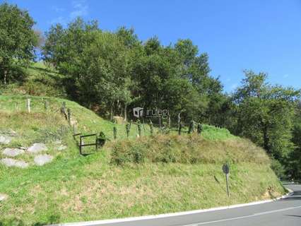 Parcela rústica en venta en Asteasu