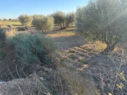 Parcela rústica en venta en Villamayor de Gállego