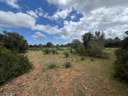 Parcela rústica en venta en Sencelles