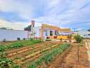 Casa rústica en venta en Chiclana de la Frontera