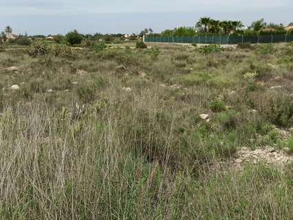 Parcela rústica en venta en Elche/Elx