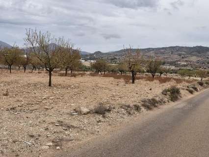 Parcela rústica en venta en Abanilla