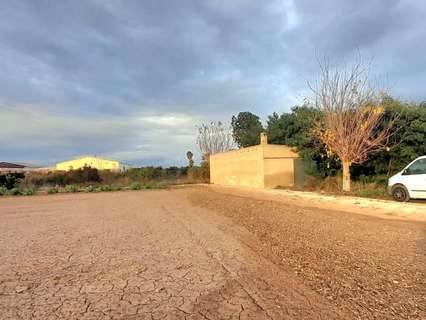 Parcela rústica en venta en Almoradí
