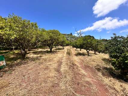 Parcela rústica en venta en Teror