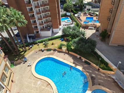 Apartamento en venta en Benidorm rebajado