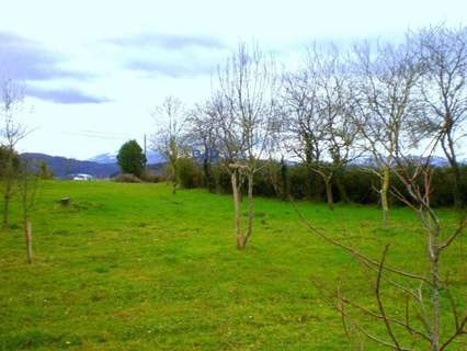 Parcela rústica en venta en Llanera