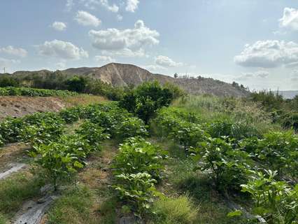 Parcela rústica en venta en Terque