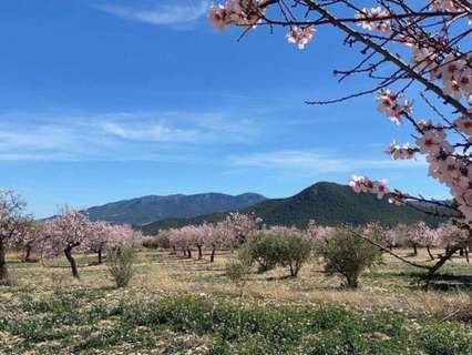 Casa rústica en venta en Vélez-Rubio