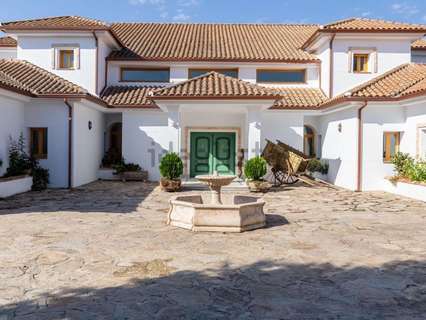 Chalet en alquiler en Las Rozas de Madrid