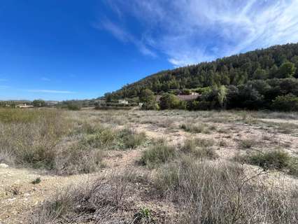 Parcela rústica en venta en Caravaca de la Cruz