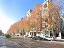 Local comercial en alquiler en Madrid