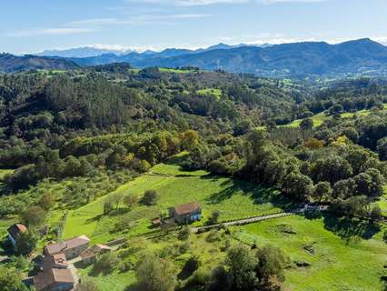 Parcela rústica en venta en Nava