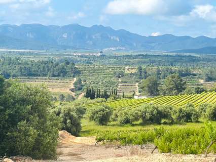 Parcela rústica en venta en Els Guiamets