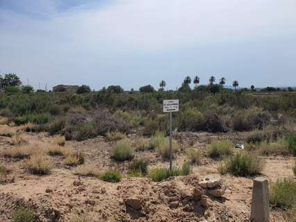 Parcela rústica en venta en Elche/Elx