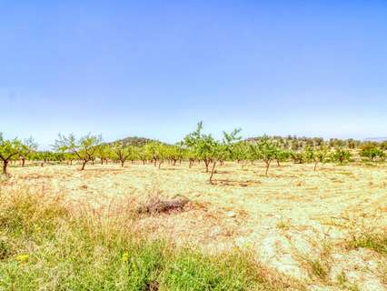 Parcela urbana en venta en Abanilla