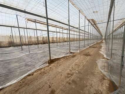 Parcela rústica en venta en Lucainena de las Torres