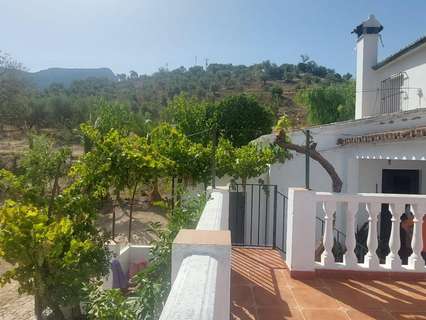 Parcela rústica en venta en El Gastor