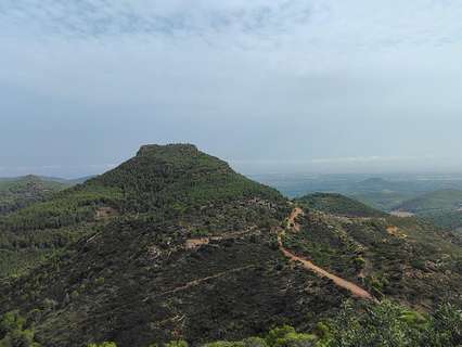 Parcela rústica en venta en Segart