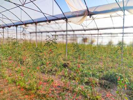 Casa rústica en venta en Elche/Elx zona Las Bayas