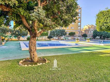 Apartamento en alquiler en Torrevieja
