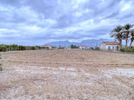 Parcela rústica en venta en Orihuela