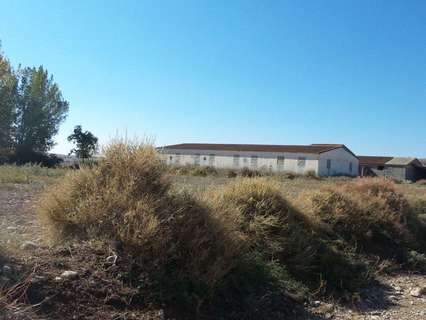 Parcela rústica en venta en Pertusa