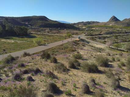 Parcela rústica en venta en Molina de Segura