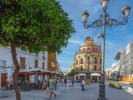 Local comercial en alquiler en Jerez de la Frontera
