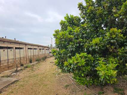 Parcela rústica en venta en Santa Bàrbara