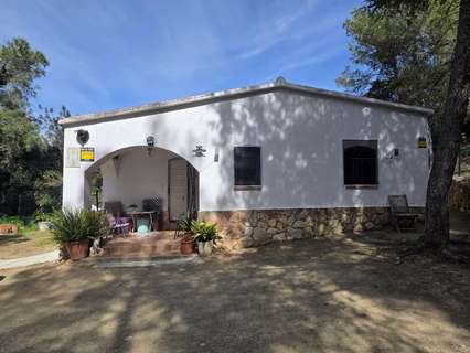 Parcela rústica en venta en Almoster