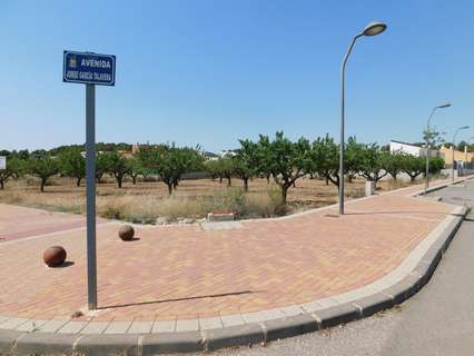 Parcela rústica en venta en Caravaca de la Cruz rebajada