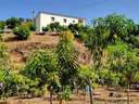 Parcela rústica en venta en Vélez-Málaga