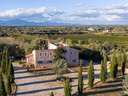 Casa rústica en venta en Algaida