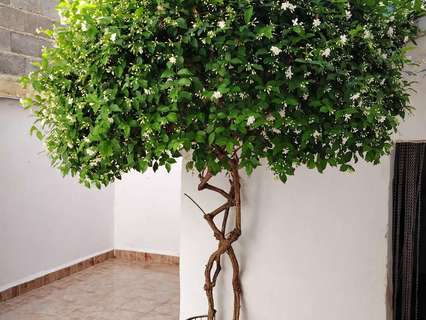 Chalet en venta en Moratalla