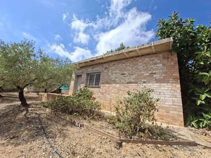 Parcela rústica en venta en Amposta