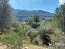 Parcela rústica en venta en Dénia