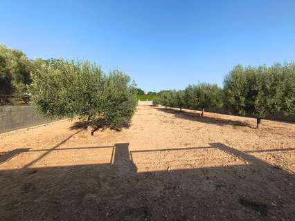 Parcela urbana en venta en Montferri